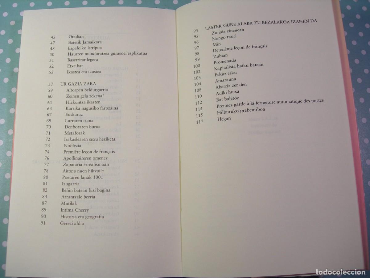 Libros de segunda mano: RIMMEL / KOLDO IZAGIRRE / EUSKERA - Foto 4