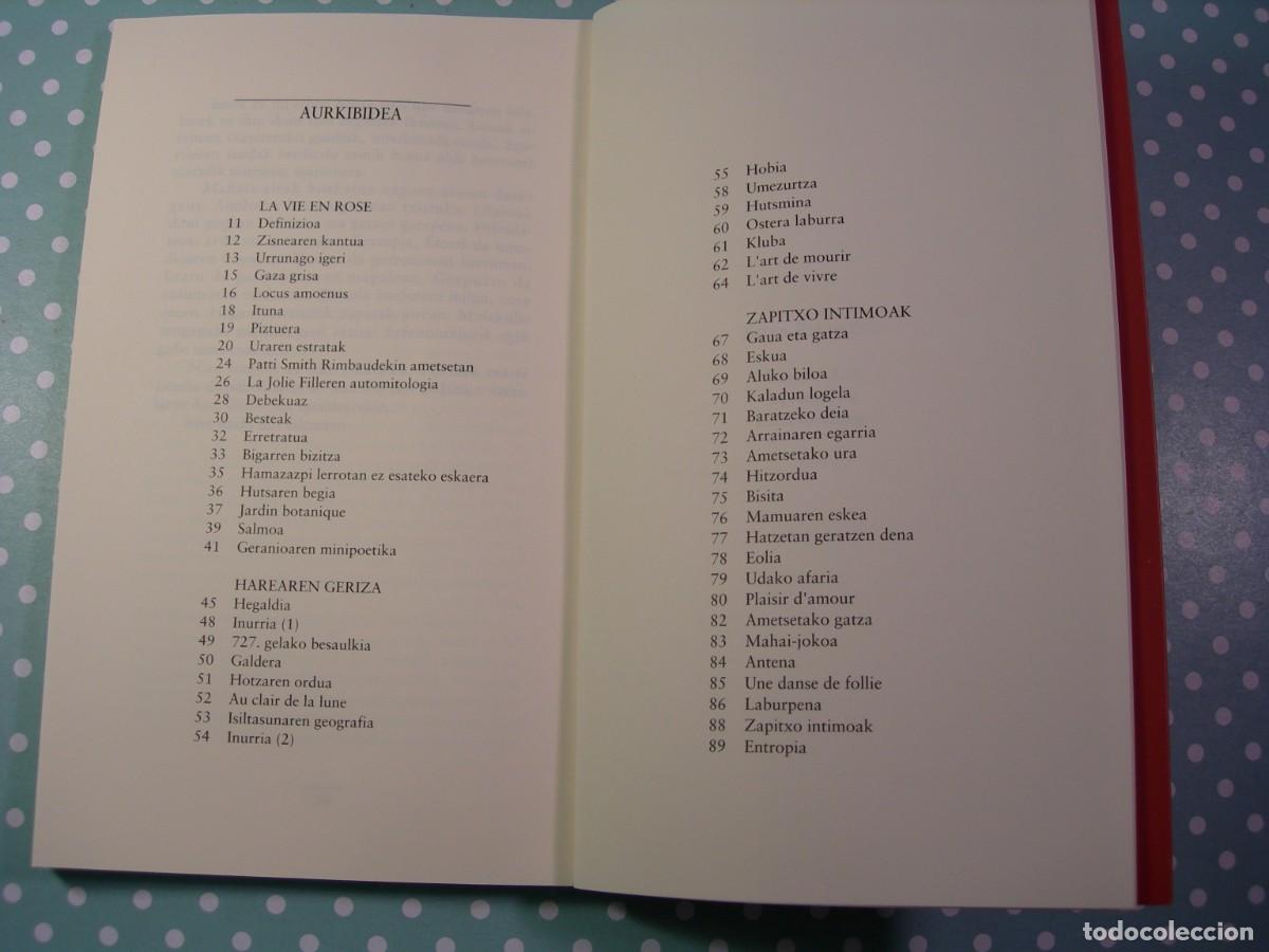 Libros de segunda mano: BITSA ESKUETAN / MIREN AGUR MEABE / EUSKERA - Foto 3