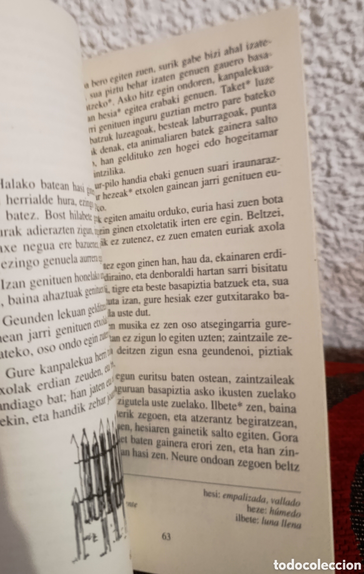 Libros de segunda mano: LIBRO: SINGLETON KAPITAINA - DANIEL DEFOE - EDITORIAL ELKAR - EUSKERA - Foto 2