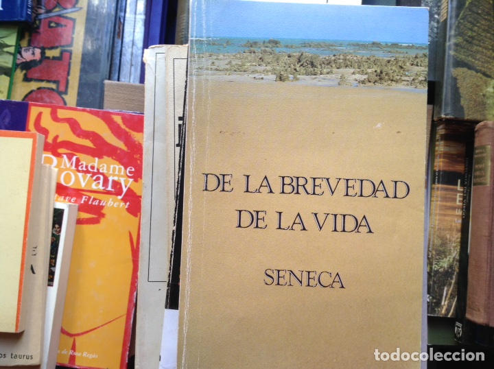 Libros de segunda mano: De la brevedad de la vida.Seneca - Foto 1
