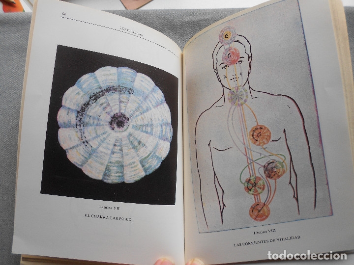 Libros de segunda mano: LOS CHAKRAS - Foto 5