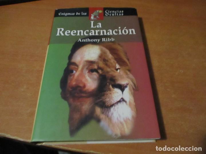 Libros de segunda mano: LA REENCARNACION Anthony Ribb Edimat Libros 2004 - Foto 1