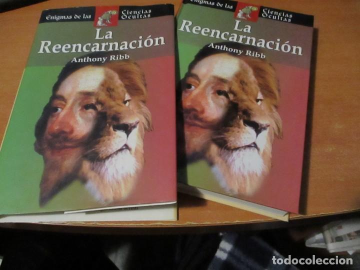 Libros de segunda mano: LA REENCARNACION Anthony Ribb Edimat Libros 2004 - Foto 3