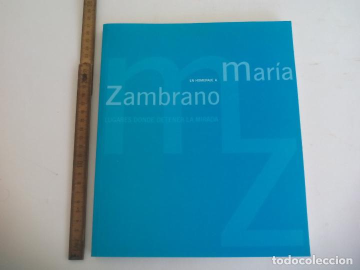 Libros de segunda mano: EN HOMENAJE A MARIA ZAMBRANO. LUGARES DONDE DETENER LA MIRADA. 2005. FUNDACION M.Z. LIBRO-CATALOGO