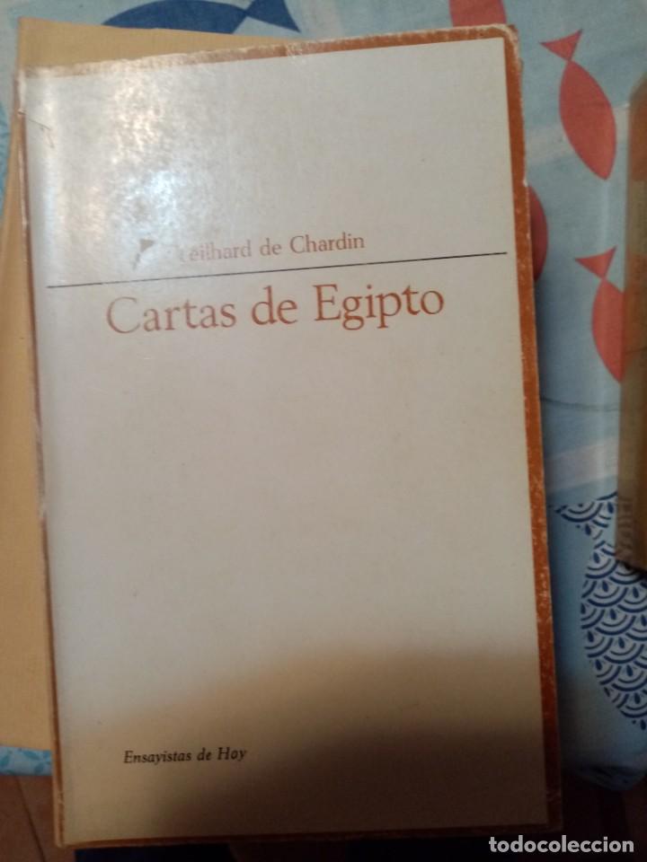 Libros de segunda mano: Cartas de Egipto de Teilhard de Chardin Ed. Taurus - Foto 1