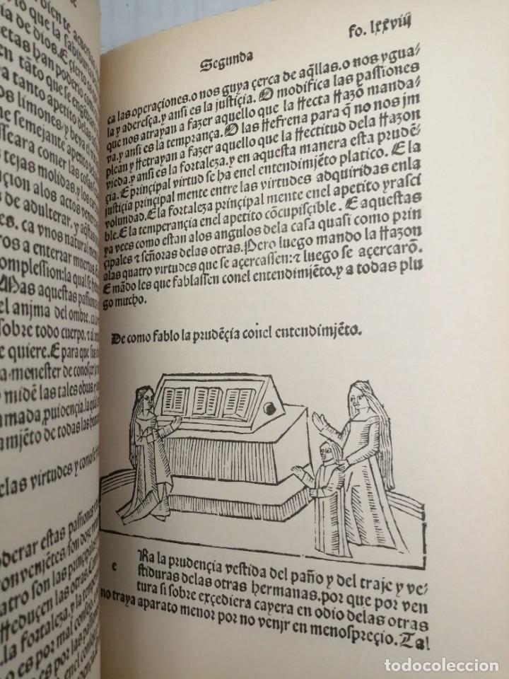 Libros de segunda mano: VISI&Oacute;N DELEITABLE (EDICI&Oacute;N FACS&Iacute;MIL, INTONSO) - Foto 5