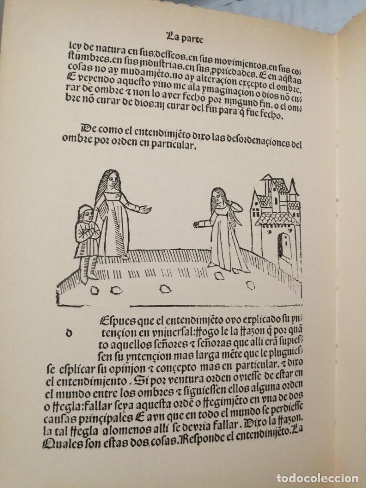 Libros de segunda mano: VISI&Oacute;N DELEITABLE (EDICI&Oacute;N FACS&Iacute;MIL, INTONSO) - Foto 6