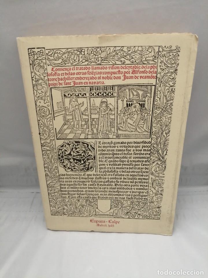 Libros de segunda mano: VISI&Oacute;N DELEITABLE (EDICI&Oacute;N FACS&Iacute;MIL, INTONSO) - Foto 1