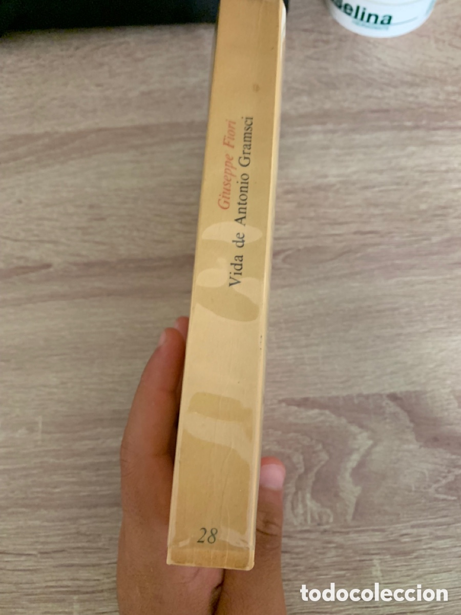 Libros de segunda mano: VIDA DE ANTONIO GRAMSCI. Giuseppe Fiori. Ediciones pen&iacute;nsula. - Foto 5