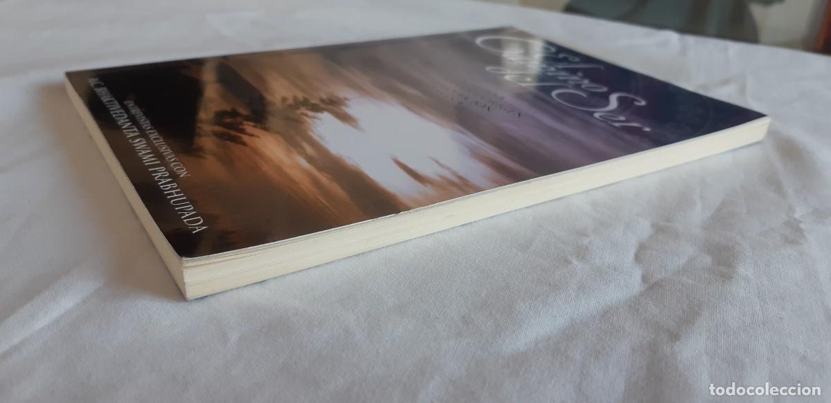 Libros de segunda mano: (Sevilla) EL CAMINO DEL SER. 2011 - Foto 8
