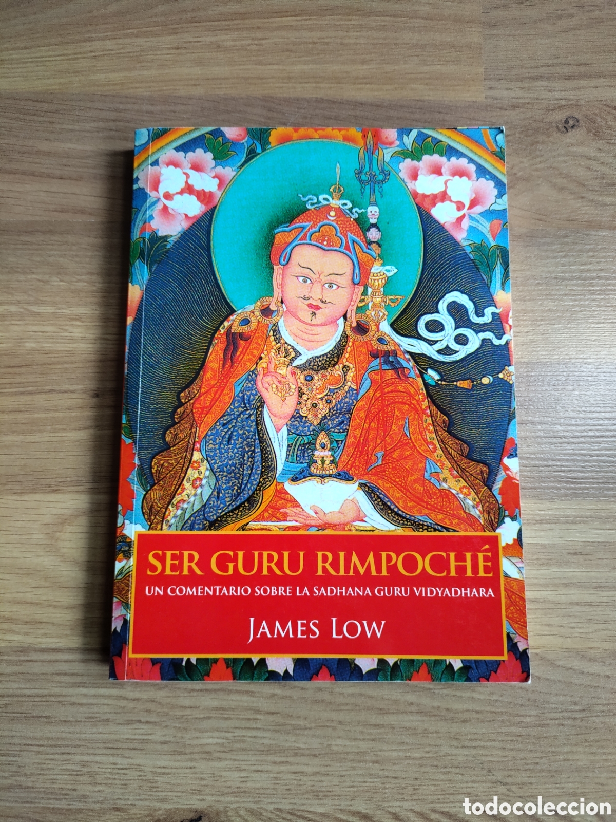 Libros de segunda mano: Ser gur&uacute; Rimpoch&eacute;. James Low. - Foto 1