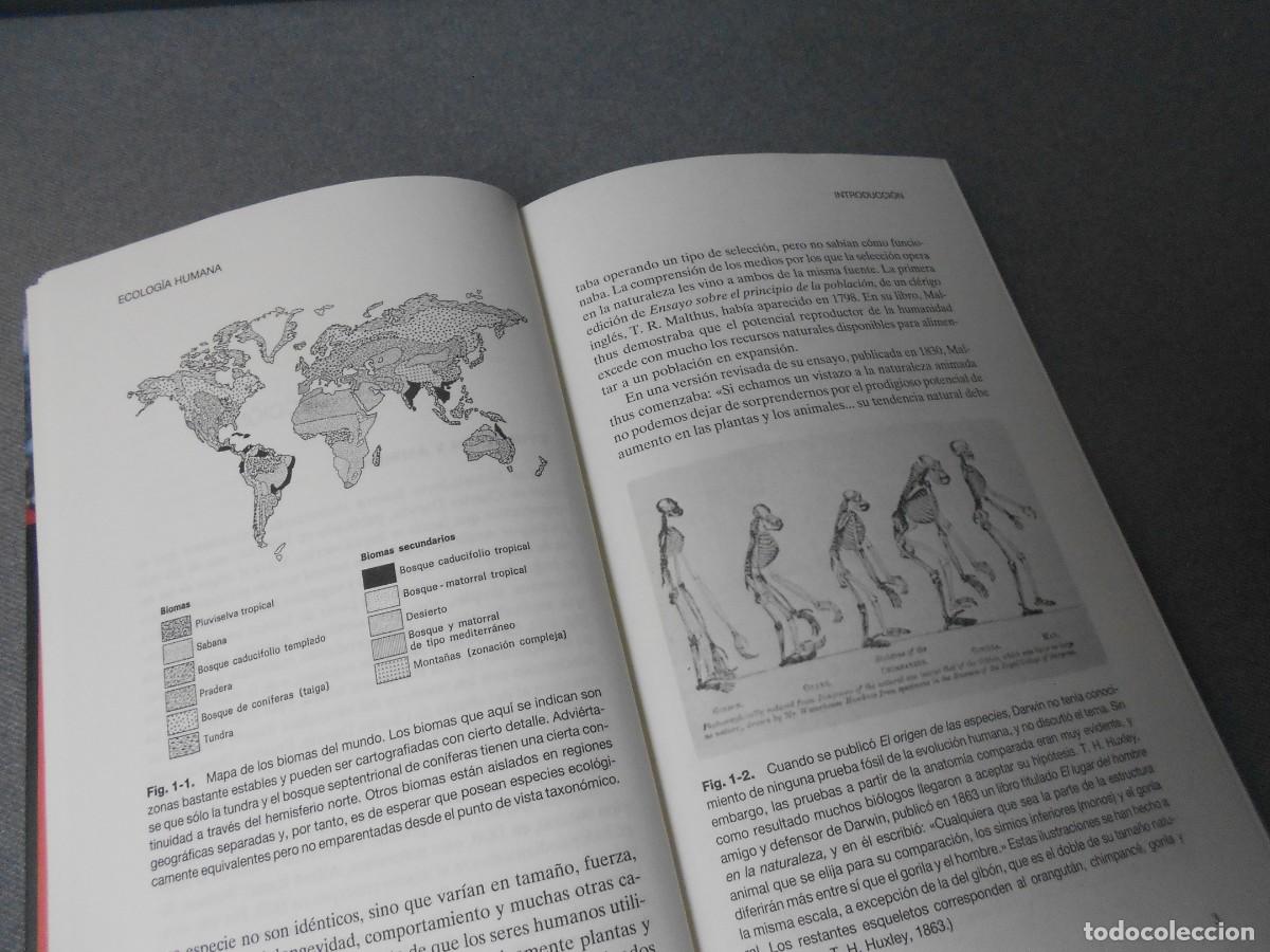 Libros de segunda mano: ECOLOGIA HUMANA - Foto 4