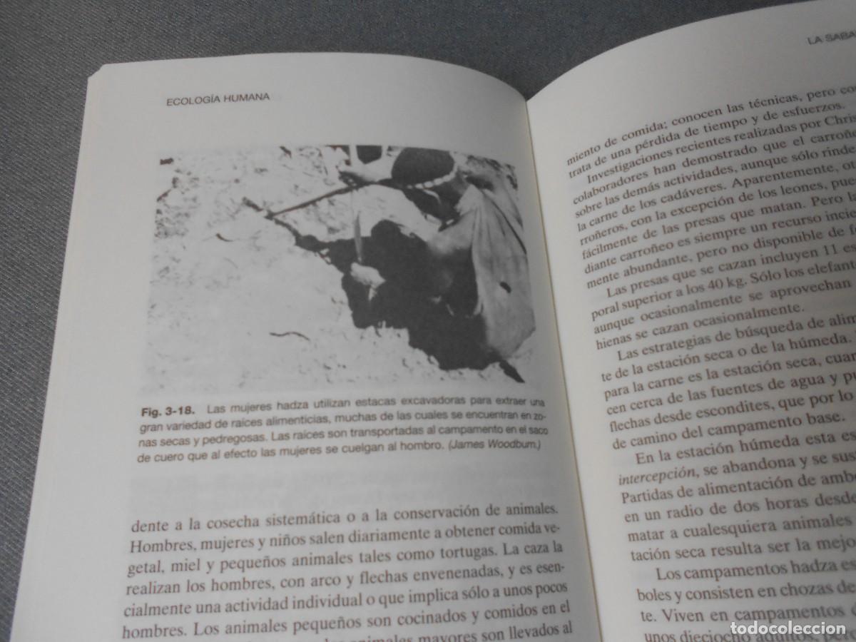 Libros de segunda mano: ECOLOGIA HUMANA - Foto 5