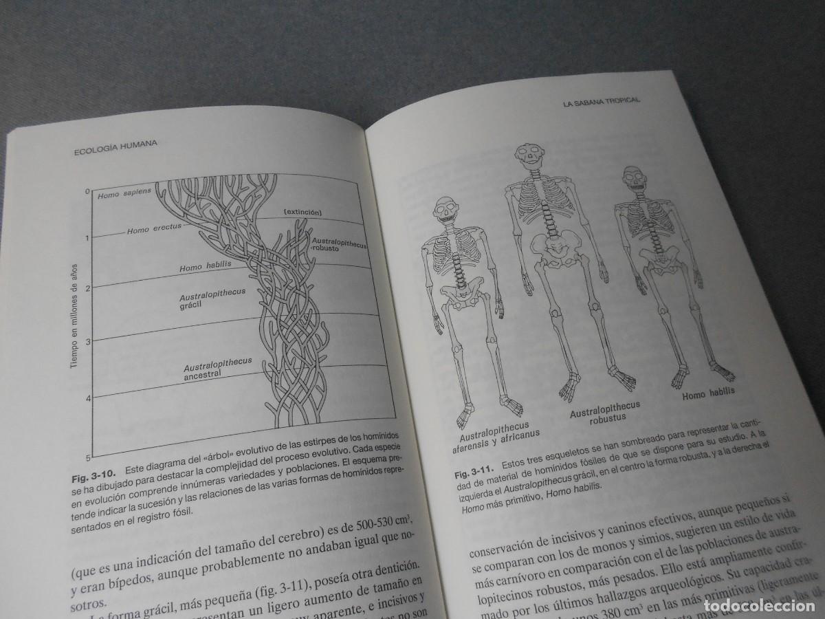 Libros de segunda mano: ECOLOGIA HUMANA - Foto 7