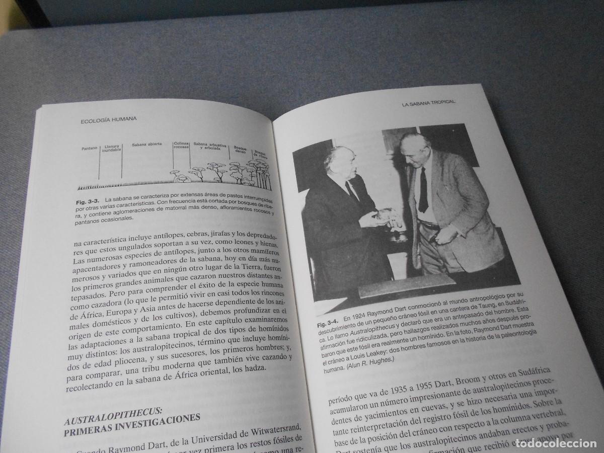 Libros de segunda mano: ECOLOGIA HUMANA - Foto 8
