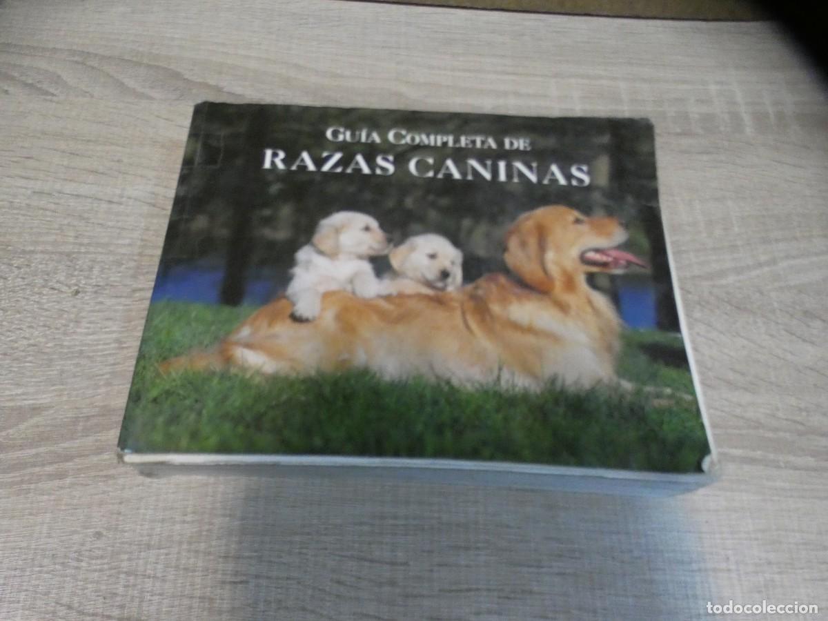 Gebrauchte B&uuml;cher: ARKANSAS1980 NATURALEZA LIBRO ESTADO DECENTE GUIA COMPLETA DE RAZAS CANINAS