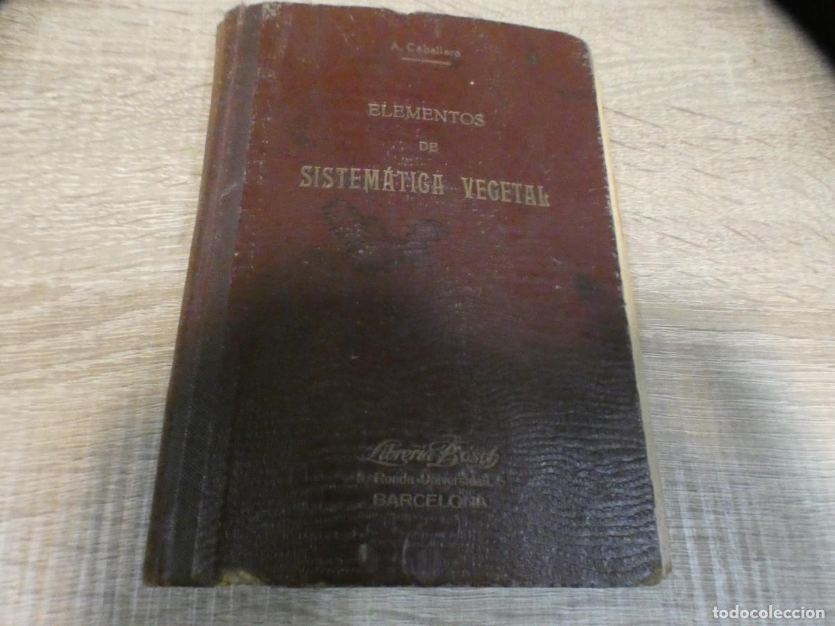 Libri di seconda mano: ARKANSAS1980 NATURALEZA LIBRO ESTADO DECENTE ELEMENTOS DE SISTEMATICA VEGETAL