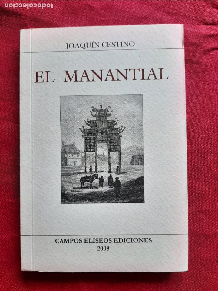 Libros de segunda mano: El manantial - Cestino, Joaqu&iacute;n - Foto 1