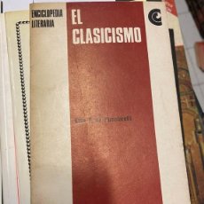 Libros de segunda mano: EL CLASICISMO. - PUCCIARELLI, ELSA T. DE.