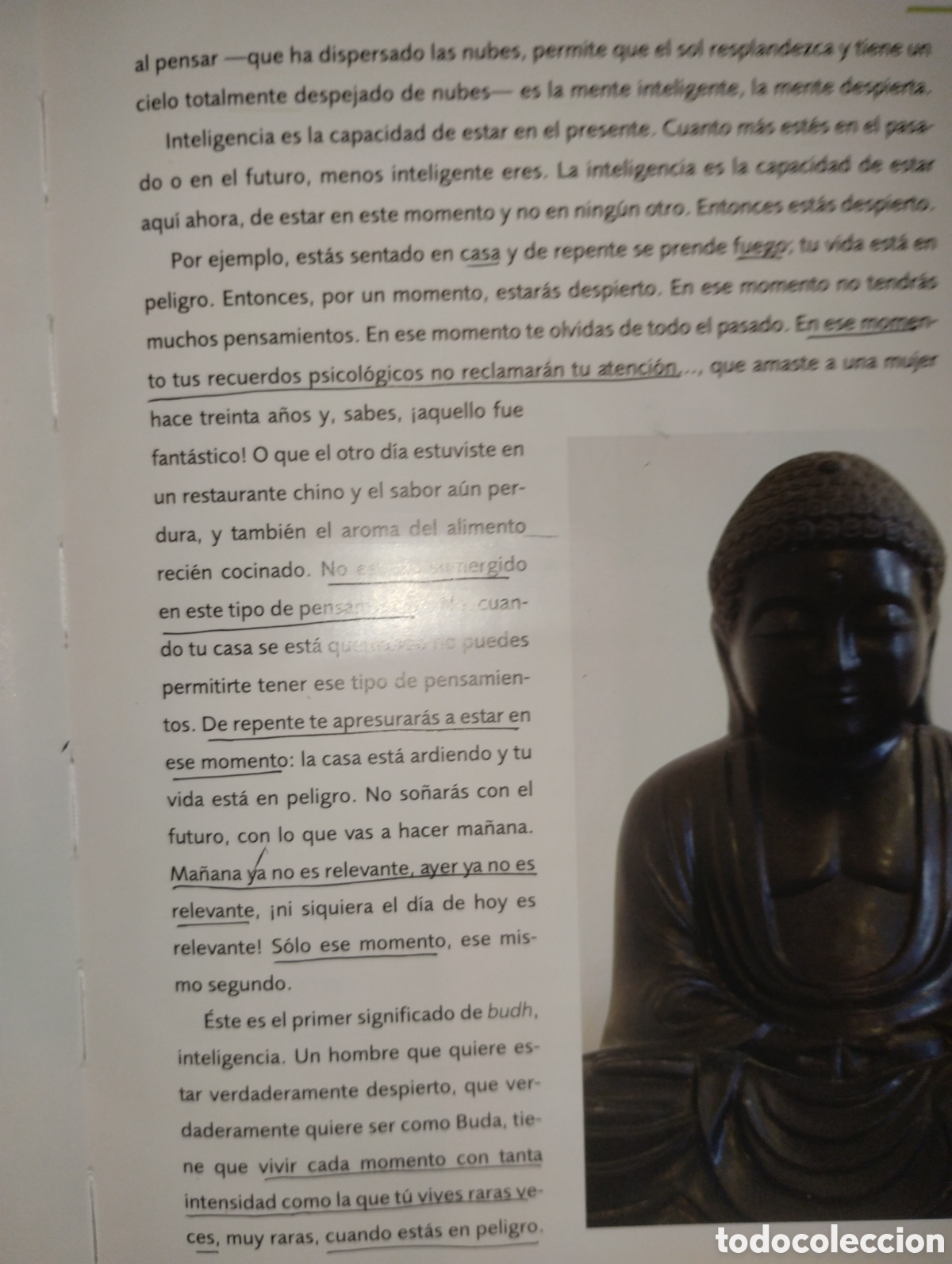 Libros de segunda mano: BUDA, SU VIDA Y ENSE&Ntilde;ANZA - Foto 10