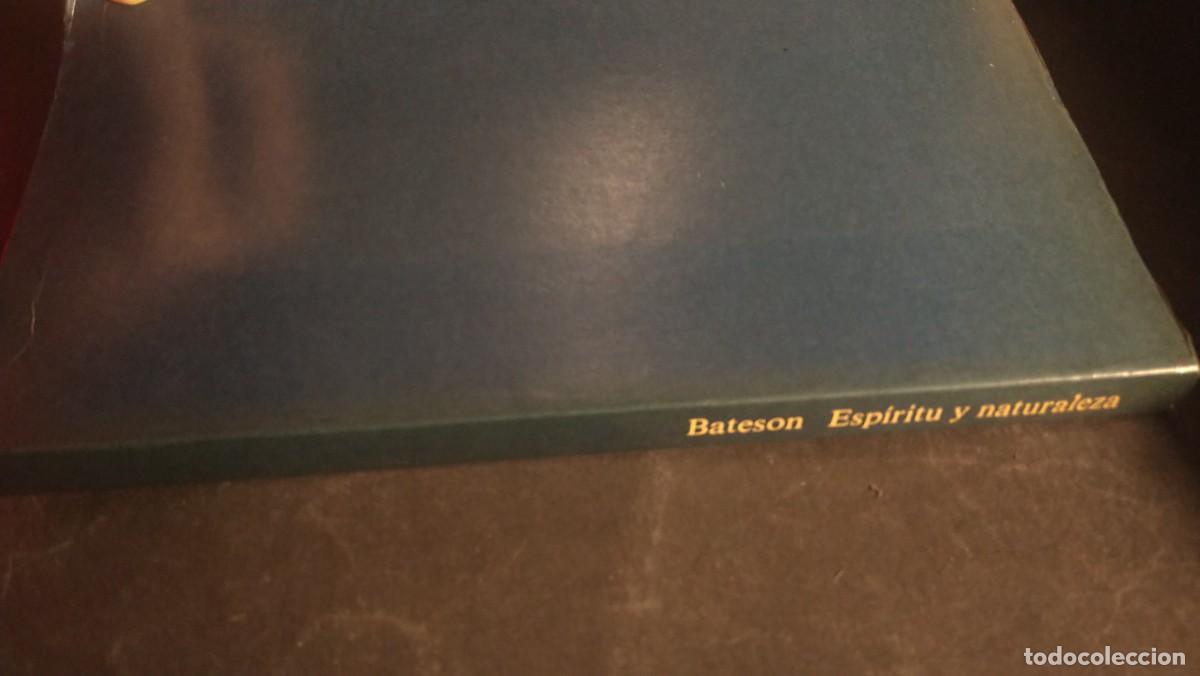 Libros de segunda mano: ESP&Iacute;RITU Y NATURALEZA - GREGORY BATESON - Foto 3