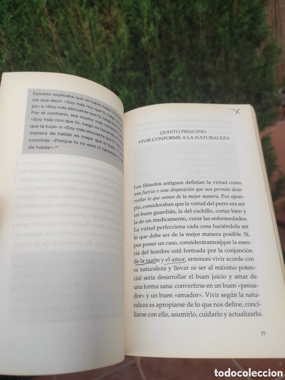 Libros de segunda mano: El camino de los sabios - Walter Riso - Ed. Planeta/Zenith - Foto 5