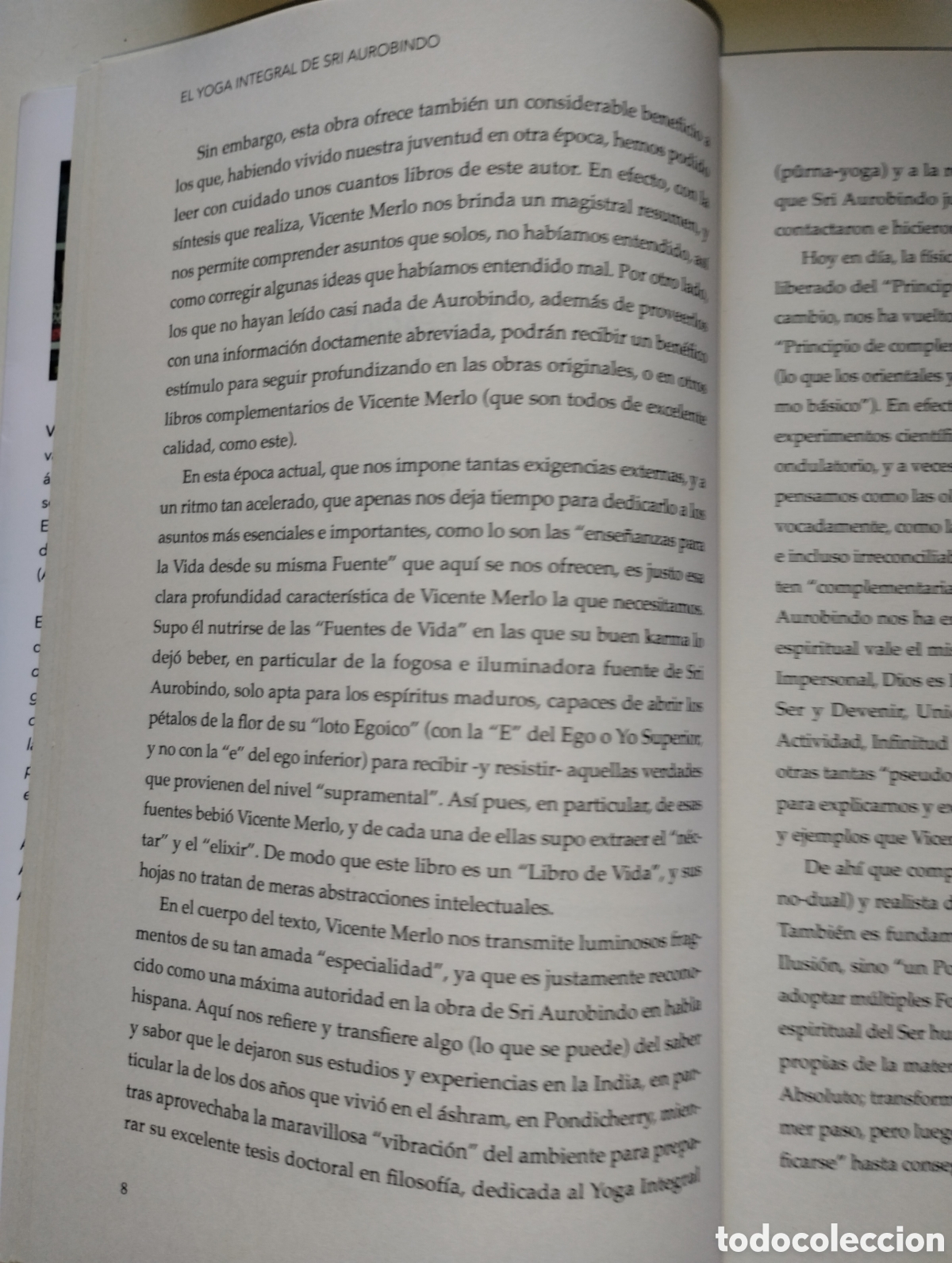 Libros de segunda mano: EL YOGA INTEGRAL DE SRI AUROBINDO - Foto 9