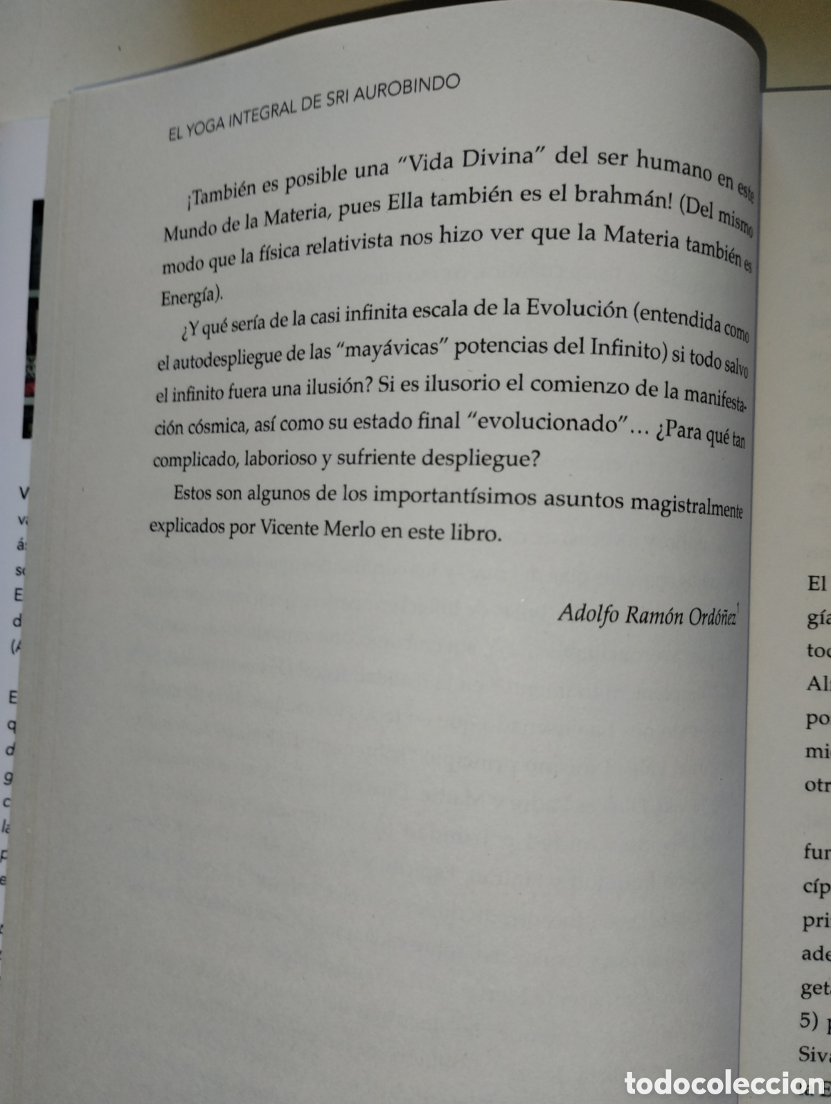 Libros de segunda mano: EL YOGA INTEGRAL DE SRI AUROBINDO - Foto 11