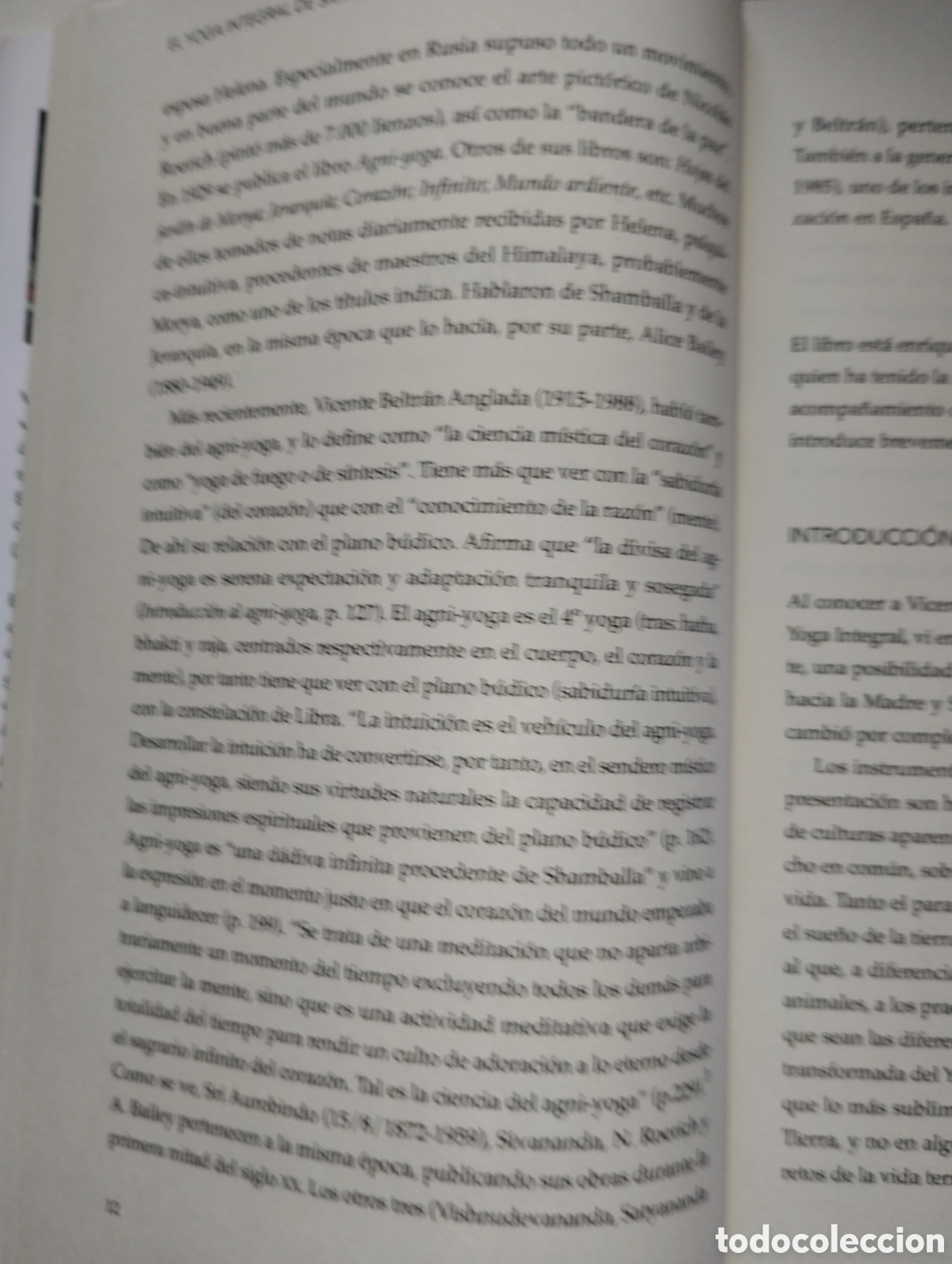 Libros de segunda mano: EL YOGA INTEGRAL DE SRI AUROBINDO - Foto 13