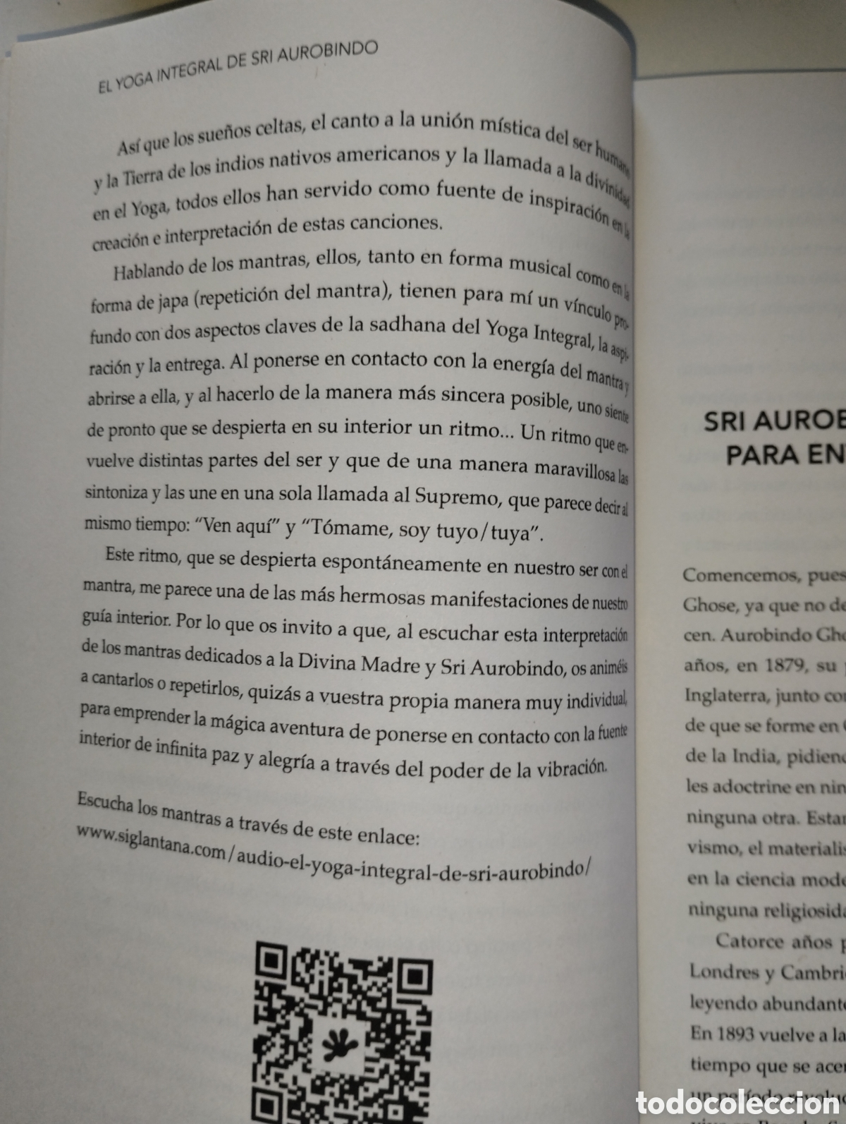 Libros de segunda mano: EL YOGA INTEGRAL DE SRI AUROBINDO - Foto 15