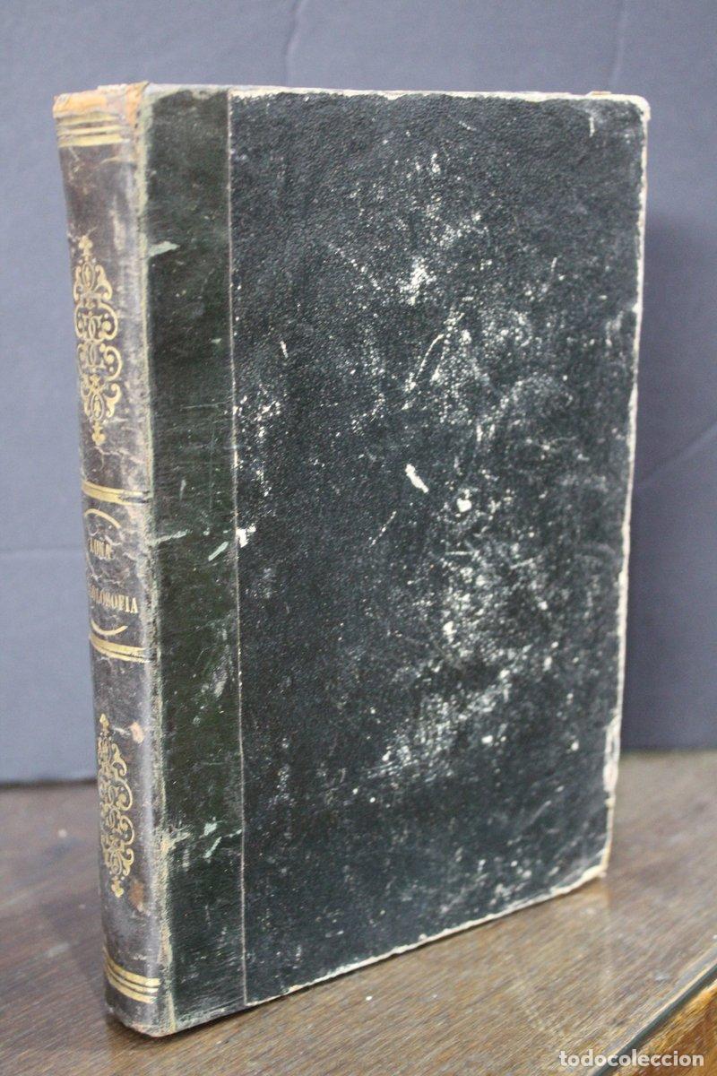 Gebrauchte B&uuml;cher: Manual de historia de la filosof&iacute;a - Garc&iacute;a Luna, Tom&aacute;s.