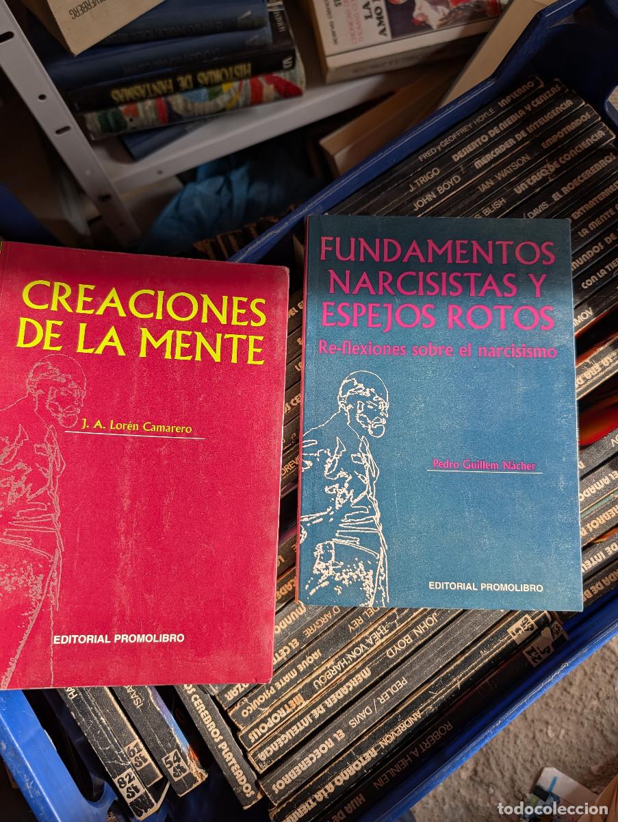 Libros de segunda mano: FUNDAMENTOS NARCISISTAS Y ESPEJOS ROTOS: REFLEXIONES SOBRE EL NARCISISMO. PEDRO GUILLEM