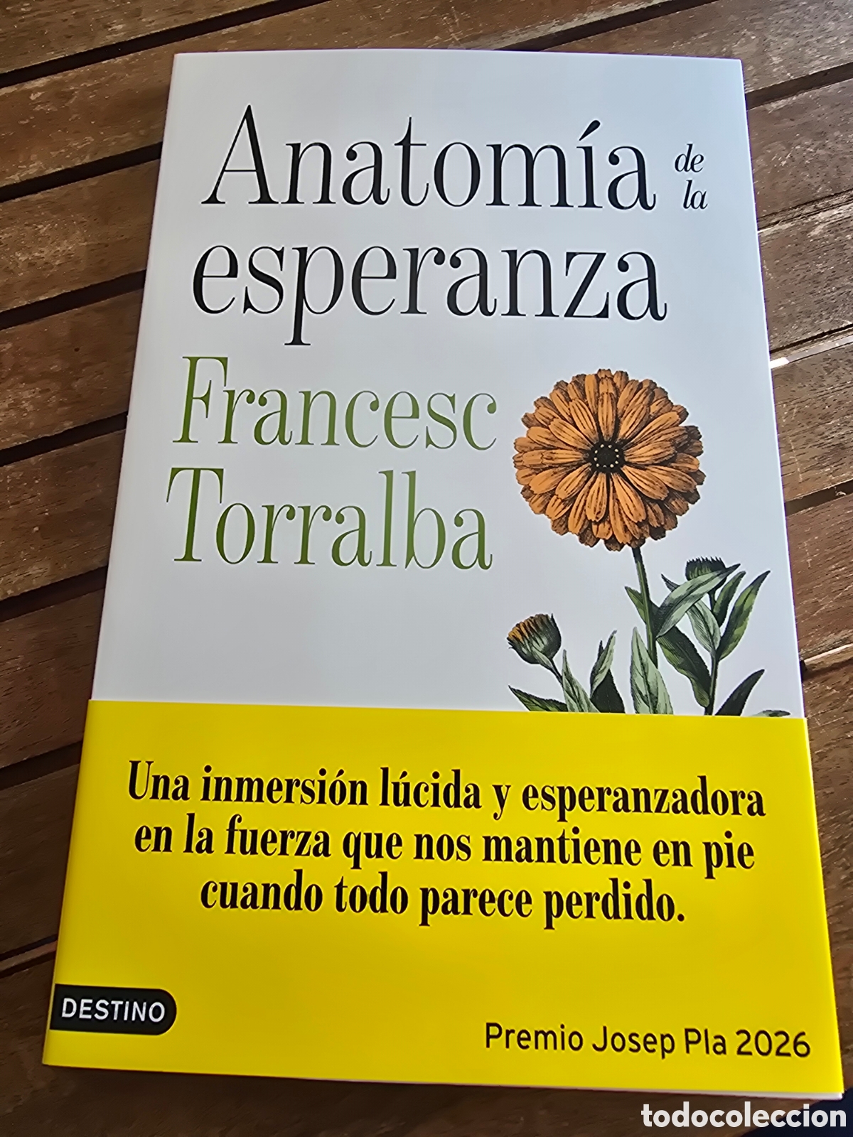 Libros de segunda mano: Anatom&iacute;a de la esperanza PREMIO JOSEP PLA 2026 Francesc Torralba Rosell&oacute; DESTINO Filosof&iacute;a