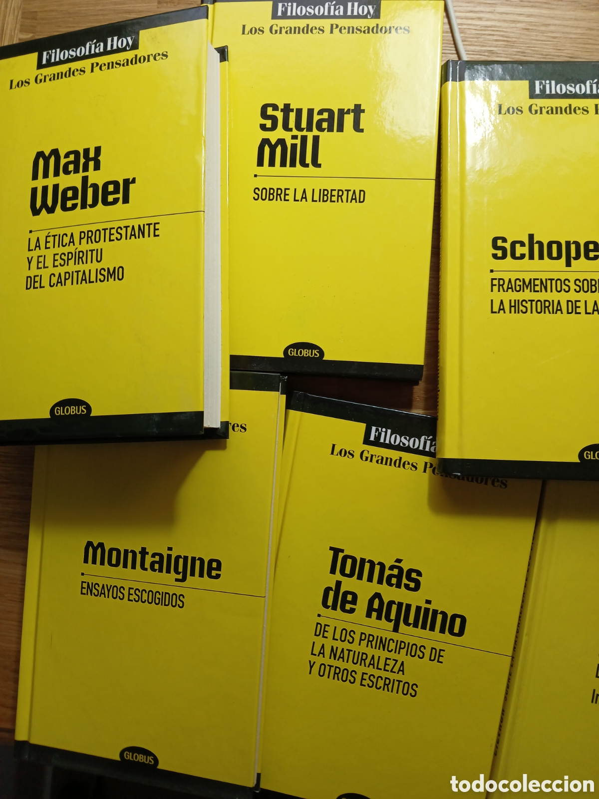 Libros de segunda mano: 16 Vol&uacute;menes Colecci&oacute;n FILOSOF&Iacute;A HOY