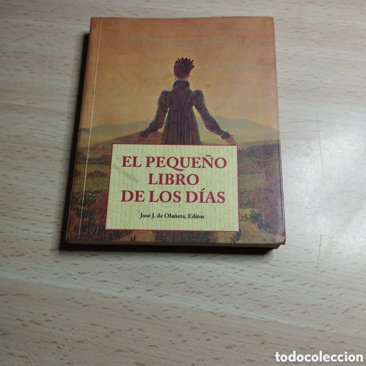 Libros de segunda mano: El peque&ntilde;o libro de los D&iacute;as. Laurence E. Fritsch. 1996. Ola&ntilde;eta editor