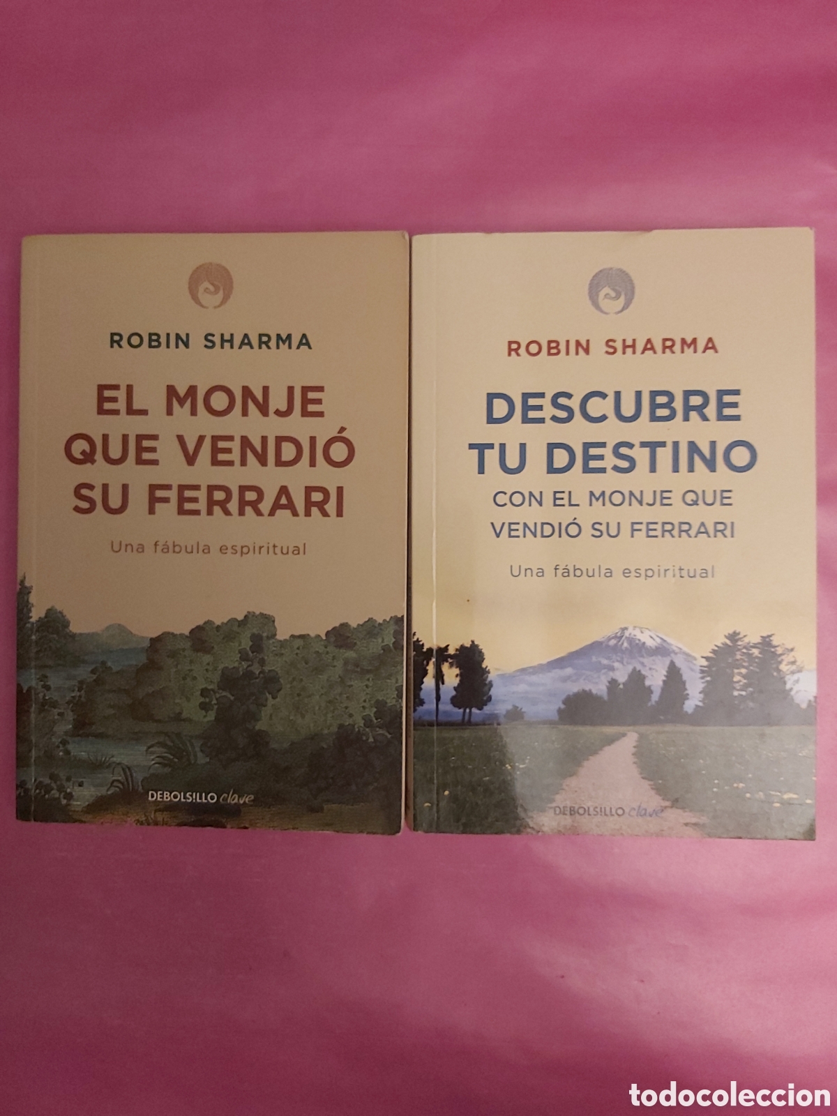 Libros de segunda mano: EL MONJE QUE VENDI&Oacute; SU FERRARI DESCUBRE TU DESTINO ROBIN SHARMA DEBOLSILLO