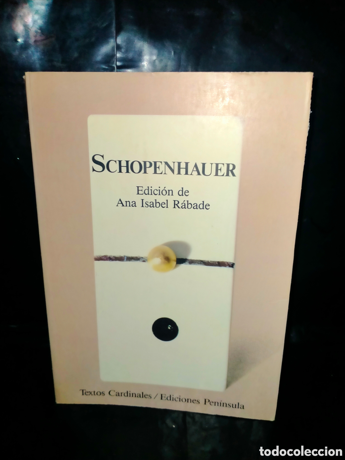Libros de segunda mano: A. I. R&Aacute;BADE(Ed.). SCHOPENHAUER .EDICIONES PEN&Iacute;NSULA
