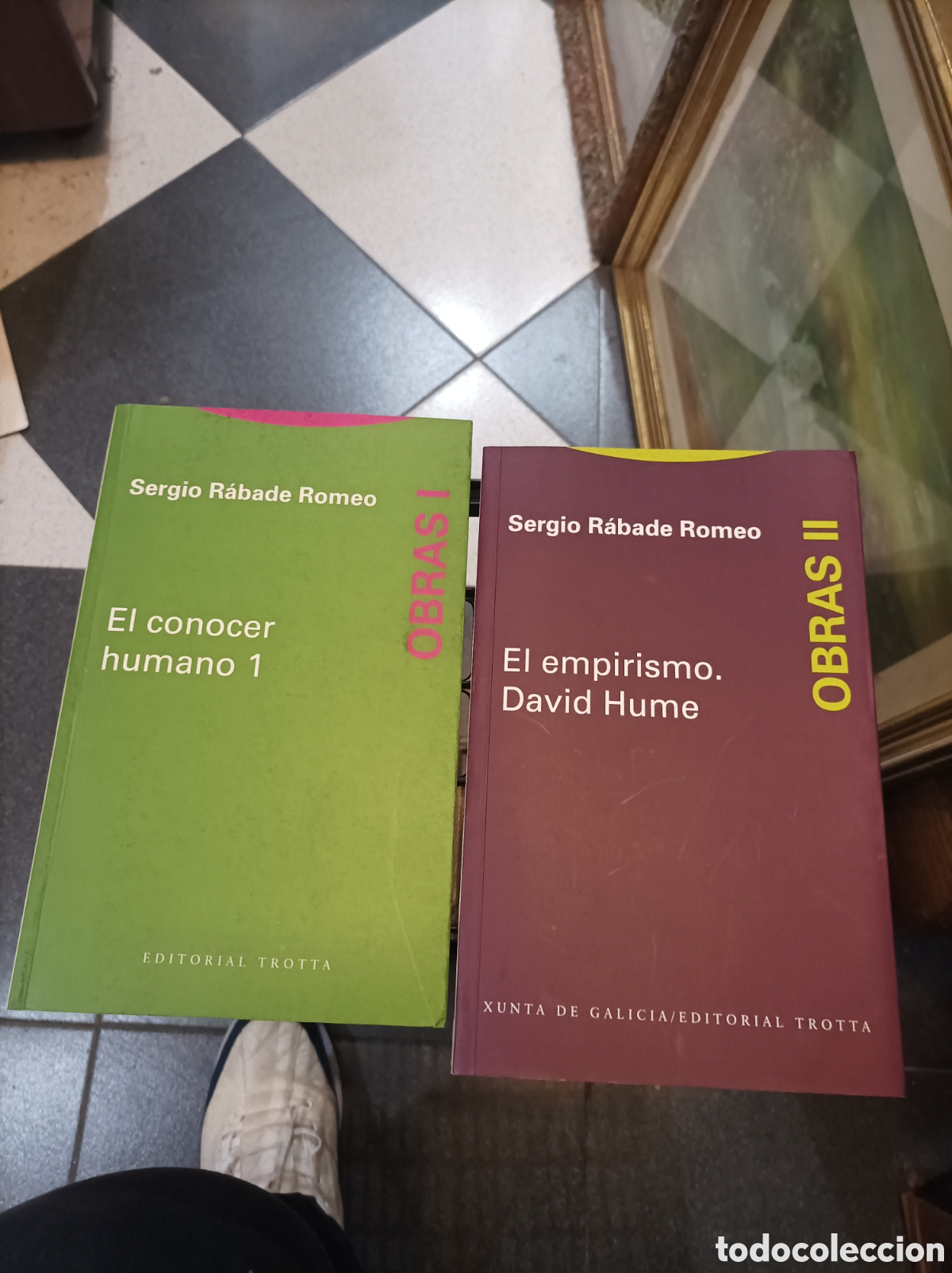 Libros de segunda mano: EL CONOCER HUMANO 1,EL EMPIRISMO.DAVID HUME.SERGIO RABADE ROMERO..OBRAS I,II