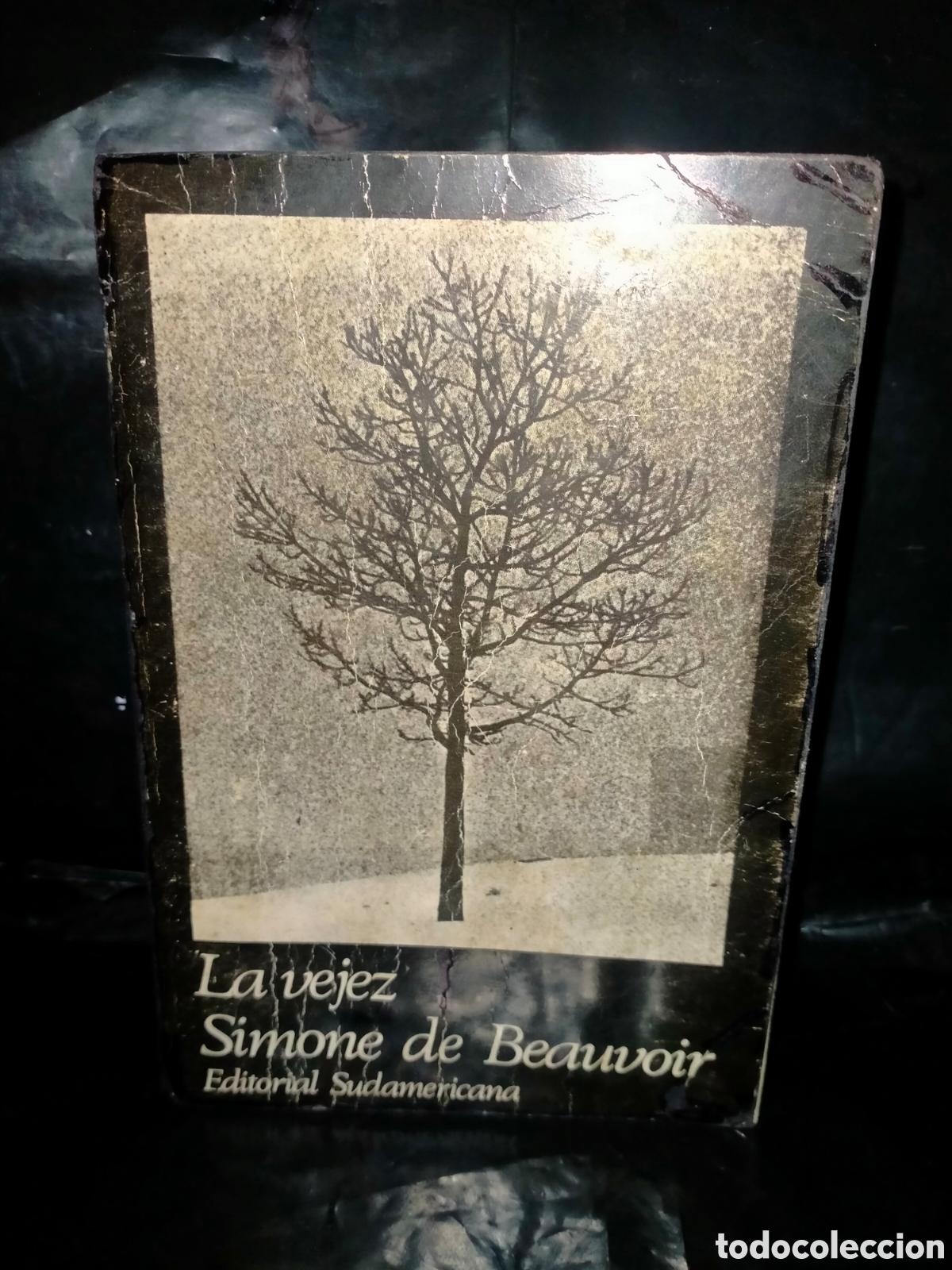 Libros de segunda mano: SIMONE DE BEAUVOIR. EN LA VEJEZ .EDITORIAL SUDAMERICANA