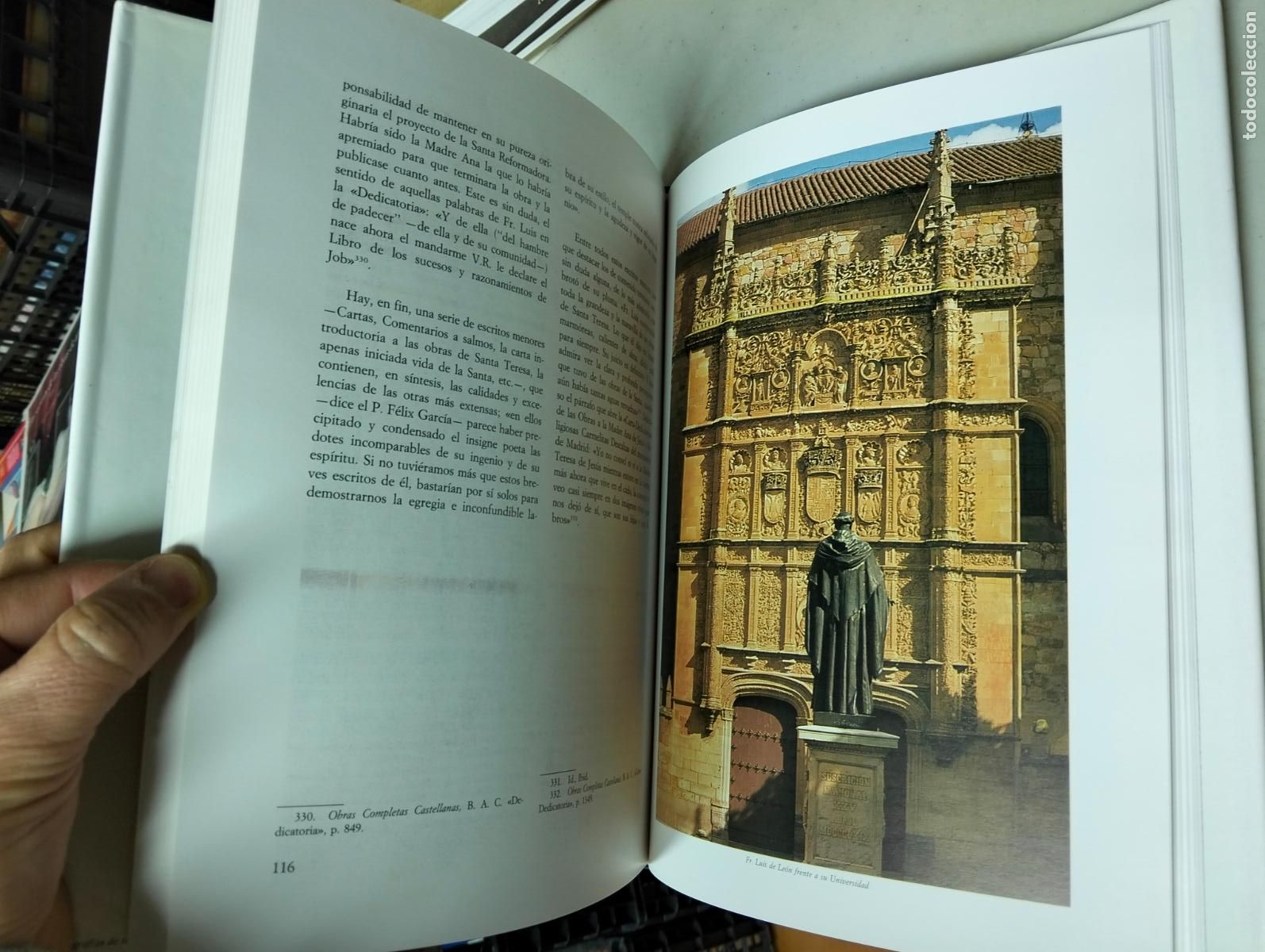 Libros de segunda mano: Ensayo. Filosofia. Fray Luis de Leon, Teofilo Vi&ntilde;as, Dip. Salamanca, 1991 VISITA MI CATALOGO L54