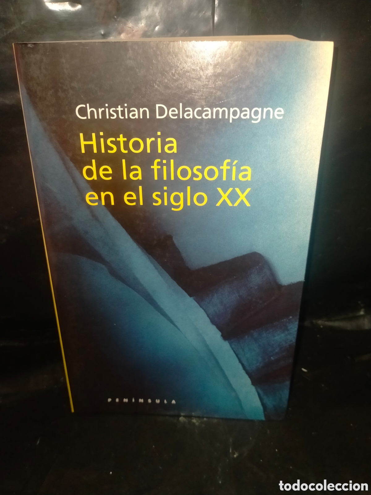 Libros de segunda mano: C. DELACAMPAGNE. LA HISTORIA DE LA FILOSOF&Iacute;A EN EL SIGLO XX .PEN&Iacute;NSULA