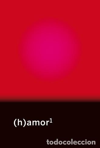 Gebrauchte B&uuml;cher: (h)amor. - Brigitte Vasallo, Miguel Vagalume, Mar&iacute;a Rodr&iacute;guez Su&aacute;rez, Virginia Mendoza, Israel S&aacute;nch