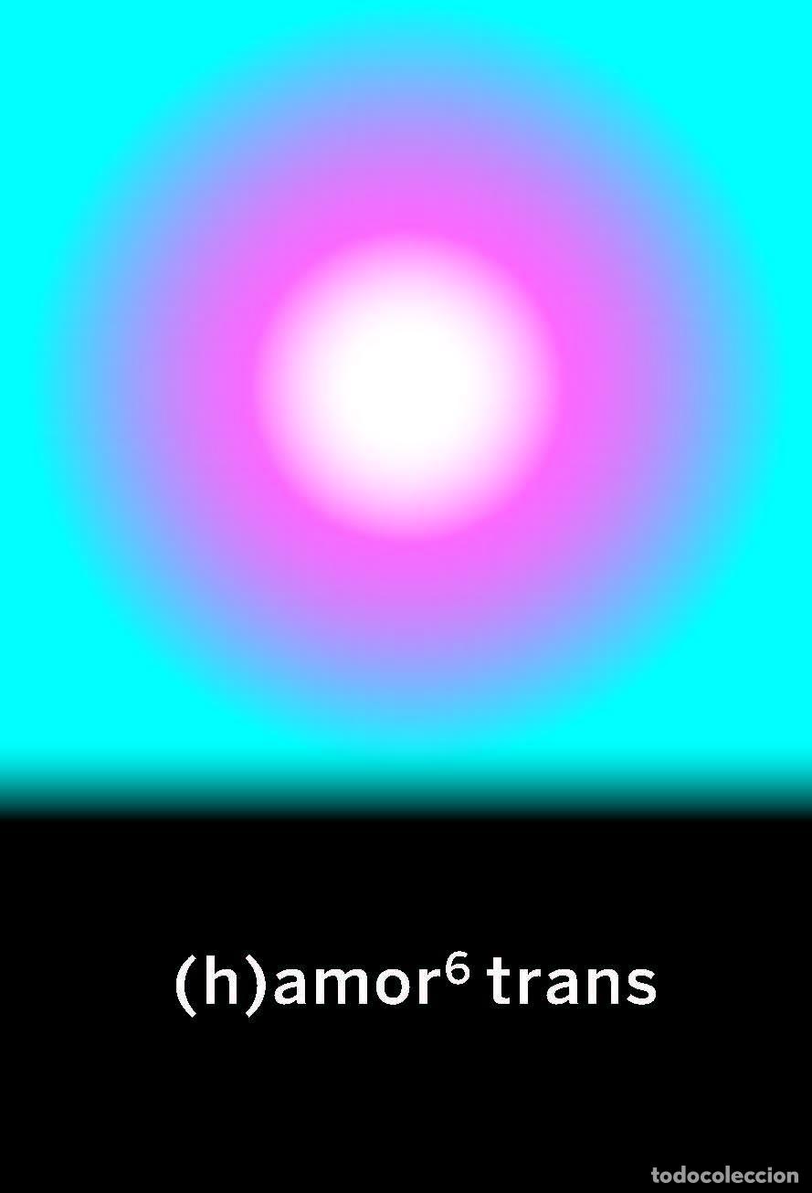 Libros de segunda mano: (h)amor 6 trans. - VV.AA..