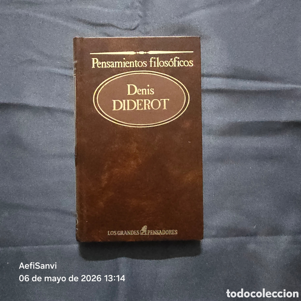 Libros de segunda mano: PENSAMIENTOS FILOS&Oacute;FICOS (DENIS DIDEROT) (LOS GRANDES PENSADORES)