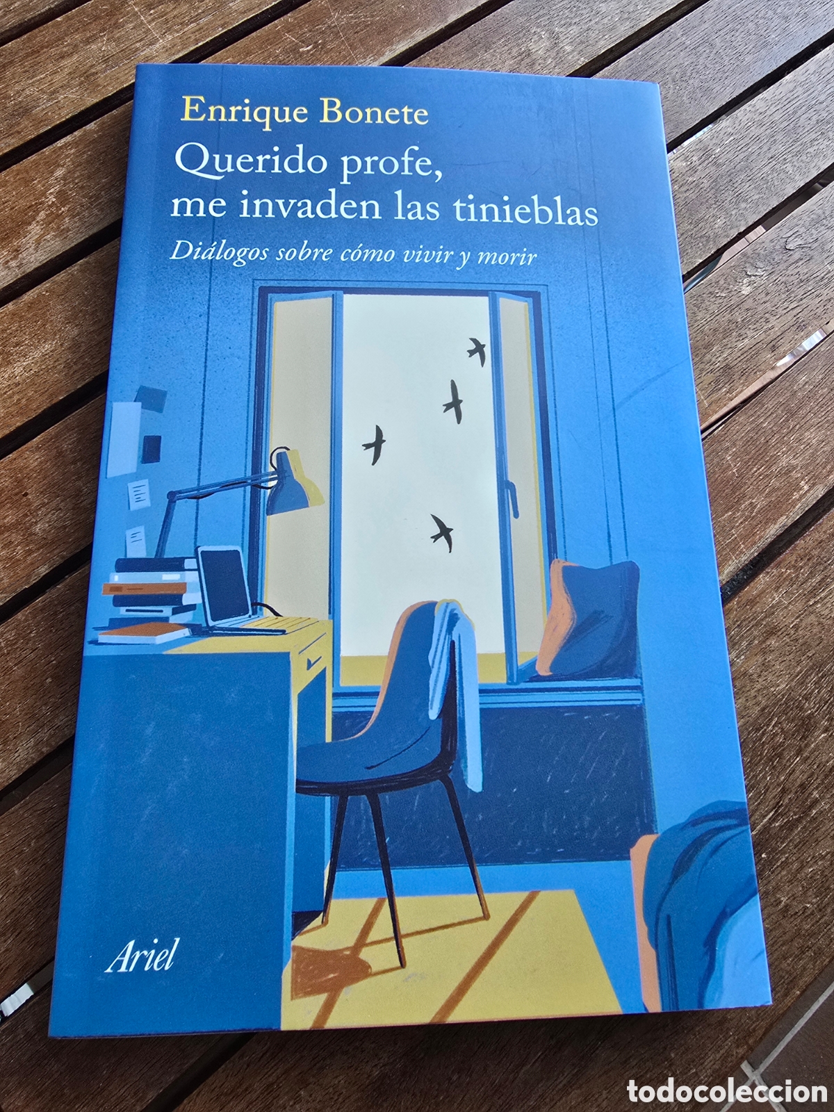 Libros de segunda mano: Querido profe, me invaden las tinieblas Bonete, Enrique Editorial ARIEL 2025 Filosofia Religion