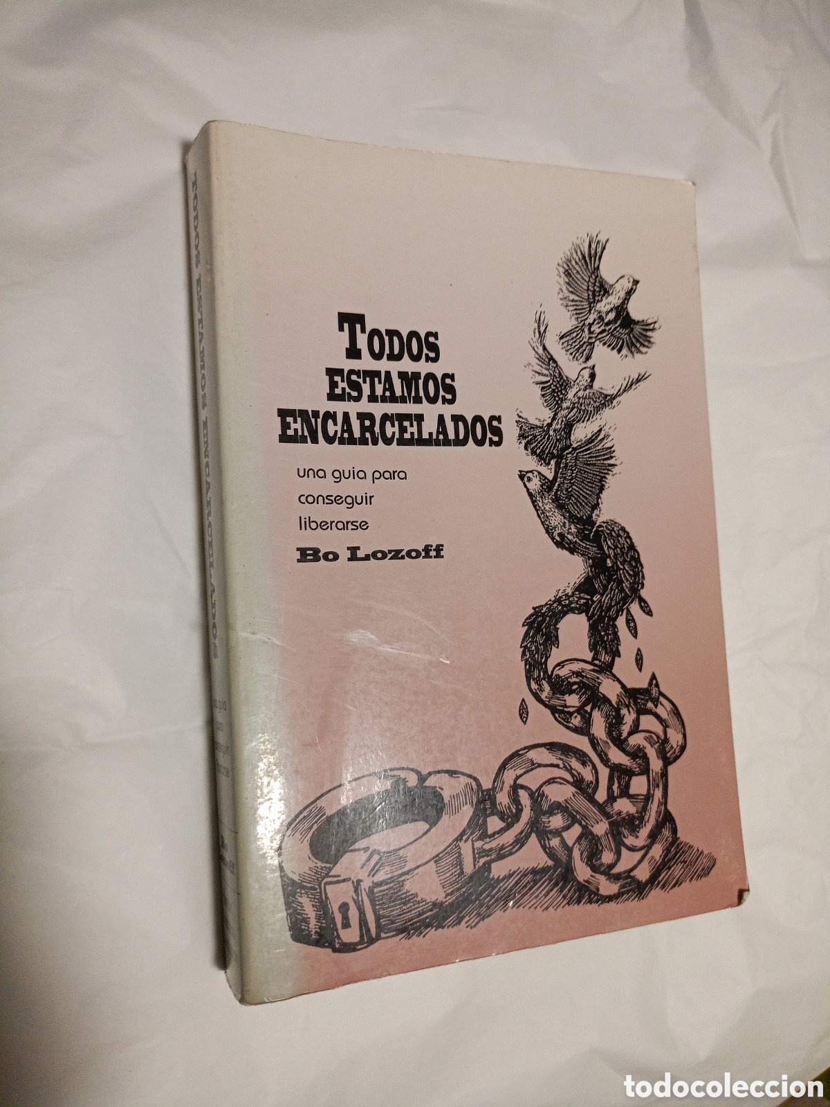 Libros de segunda mano: Todos estamos encarcelados. Una gu&iacute;a para conseguir liberarse, Bo Lozoff. Fundaci&oacute;n Bondad Humana