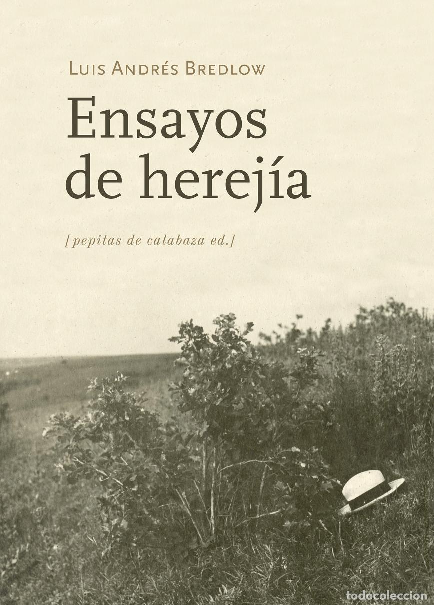 Libros de segunda mano: Ensayos de herej&iacute;a. - Bredlow Wenda, Luis Andr&eacute;s.