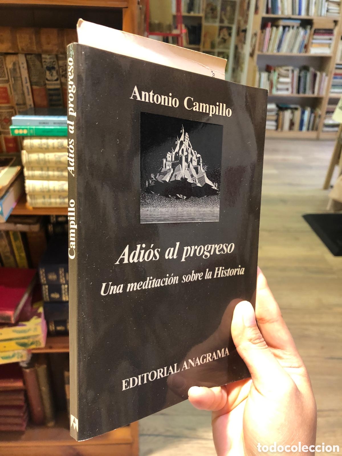 Libros de segunda mano: Adi&oacute;s al progreso. Una meditaci&oacute;n sobre la Historia - Antonio Campillo