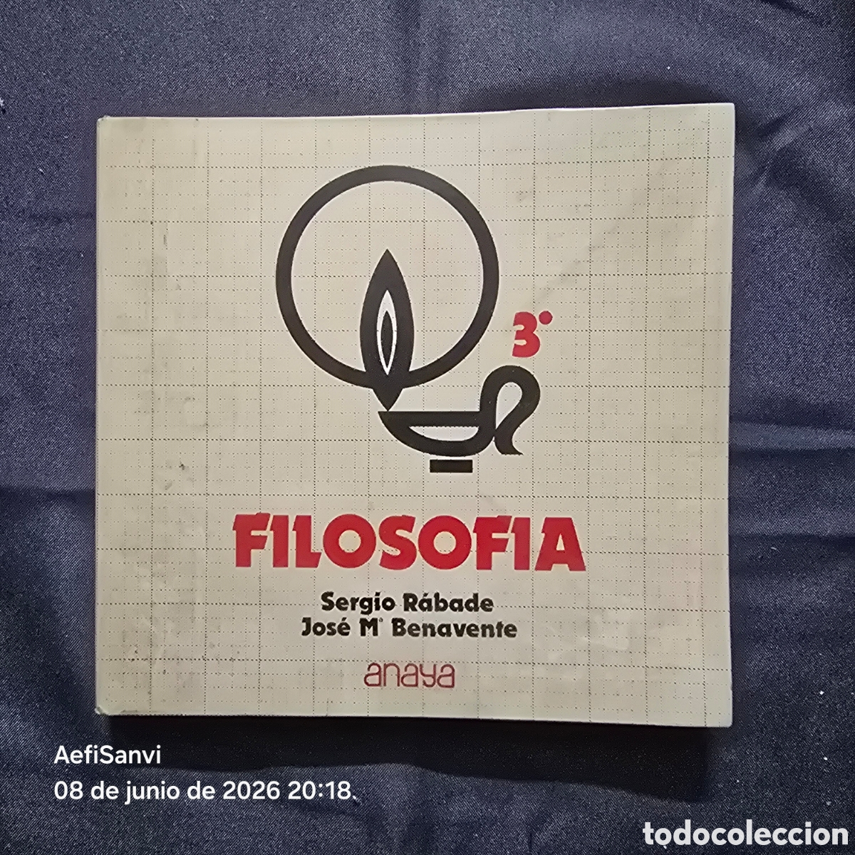 Libros de segunda mano: FILOSOF&Iacute;A 3&deg; (SERGIO R&Aacute;BADE - JOS&Eacute; M&ordf; BENAVENTE) (ANAYA)