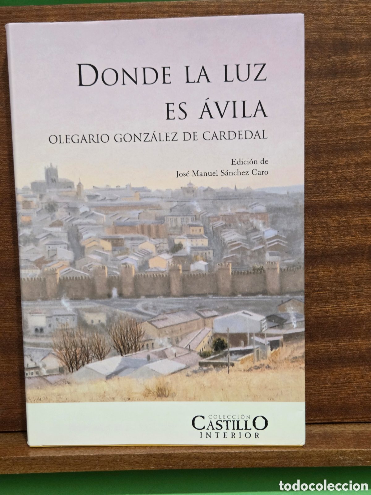 Libros de segunda mano: &rdquo;&rdquo;DONDE LA LUZ ES &Agrave;VILA&rdquo;&rdquo;...OLEGARIO GONZALEZ CARDEDAL...COLECCION CASTILLO INTERIOR...2003...